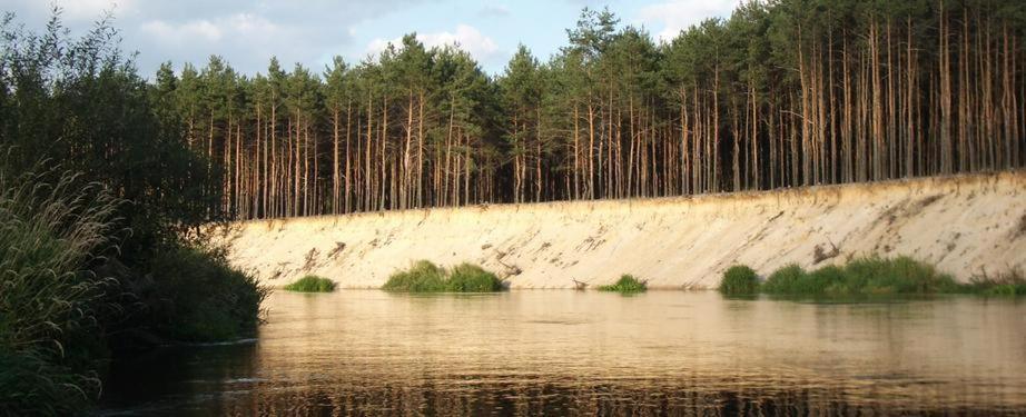 Domki Nad Pilica Krzetow Экстерьер фото
