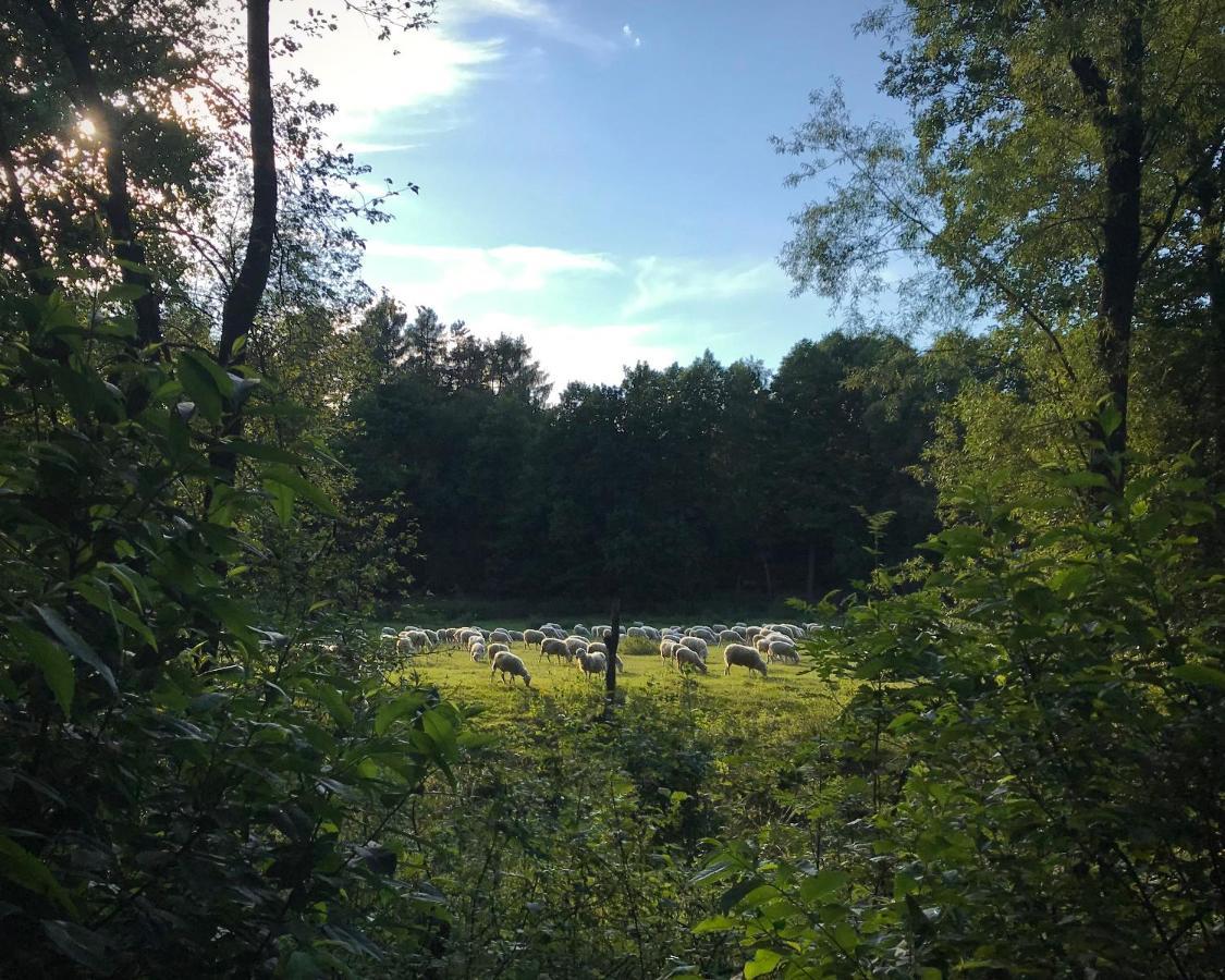 Domki Nad Pilica Krzetow Экстерьер фото