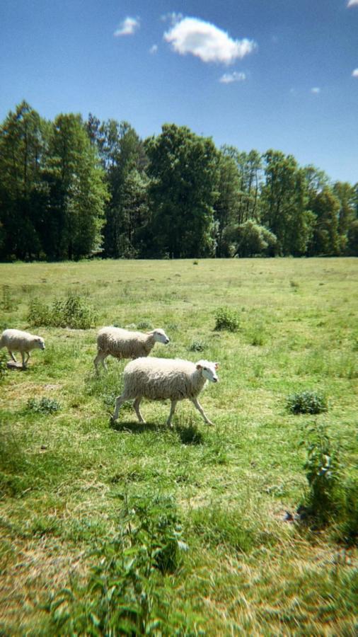 Domki Nad Pilica Krzetow Экстерьер фото